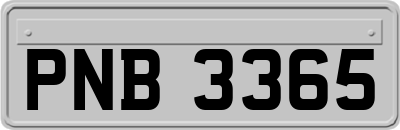 PNB3365