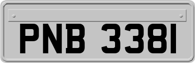 PNB3381