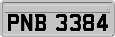 PNB3384