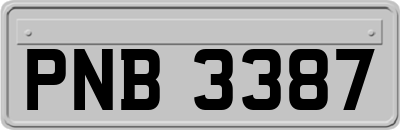 PNB3387
