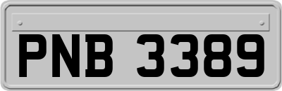 PNB3389