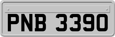 PNB3390