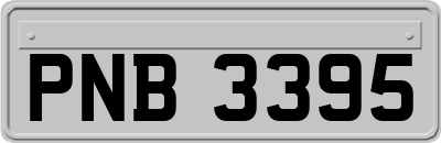 PNB3395