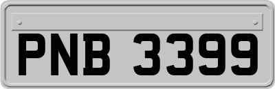 PNB3399