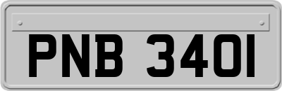 PNB3401