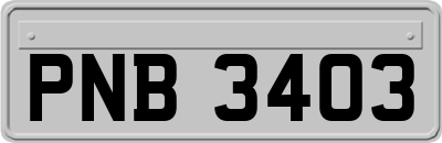 PNB3403