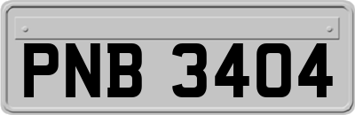 PNB3404