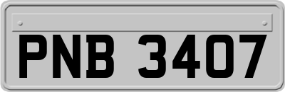 PNB3407