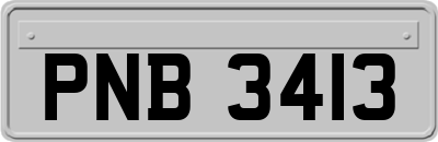 PNB3413