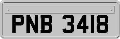 PNB3418
