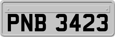 PNB3423