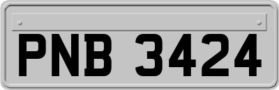 PNB3424