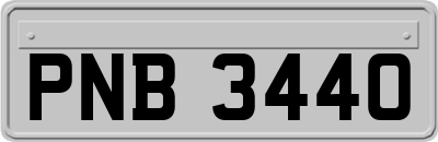 PNB3440
