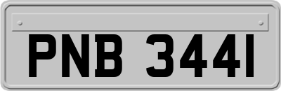 PNB3441