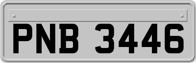 PNB3446