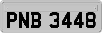 PNB3448