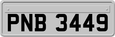 PNB3449