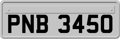 PNB3450