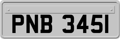 PNB3451