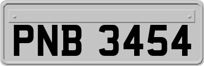 PNB3454