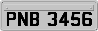 PNB3456