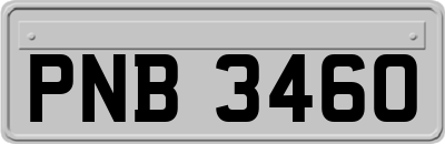 PNB3460