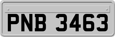 PNB3463