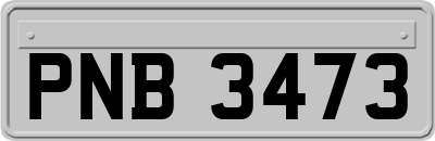 PNB3473