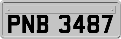 PNB3487