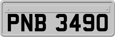 PNB3490