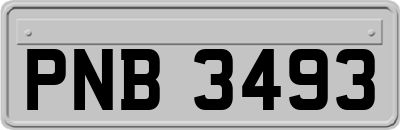 PNB3493