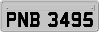 PNB3495