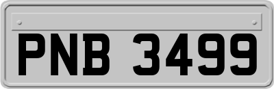 PNB3499