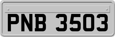 PNB3503
