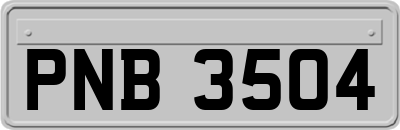 PNB3504