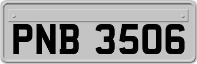 PNB3506