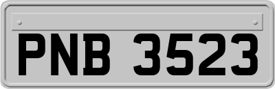 PNB3523