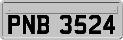 PNB3524