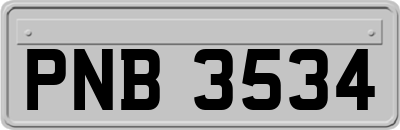 PNB3534