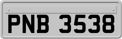 PNB3538