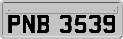 PNB3539