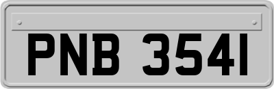 PNB3541
