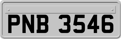 PNB3546