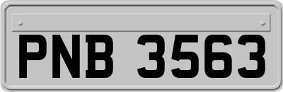 PNB3563