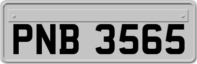 PNB3565