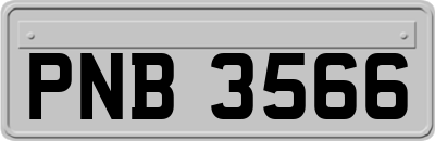 PNB3566