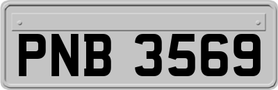 PNB3569