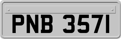 PNB3571