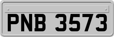 PNB3573