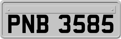 PNB3585